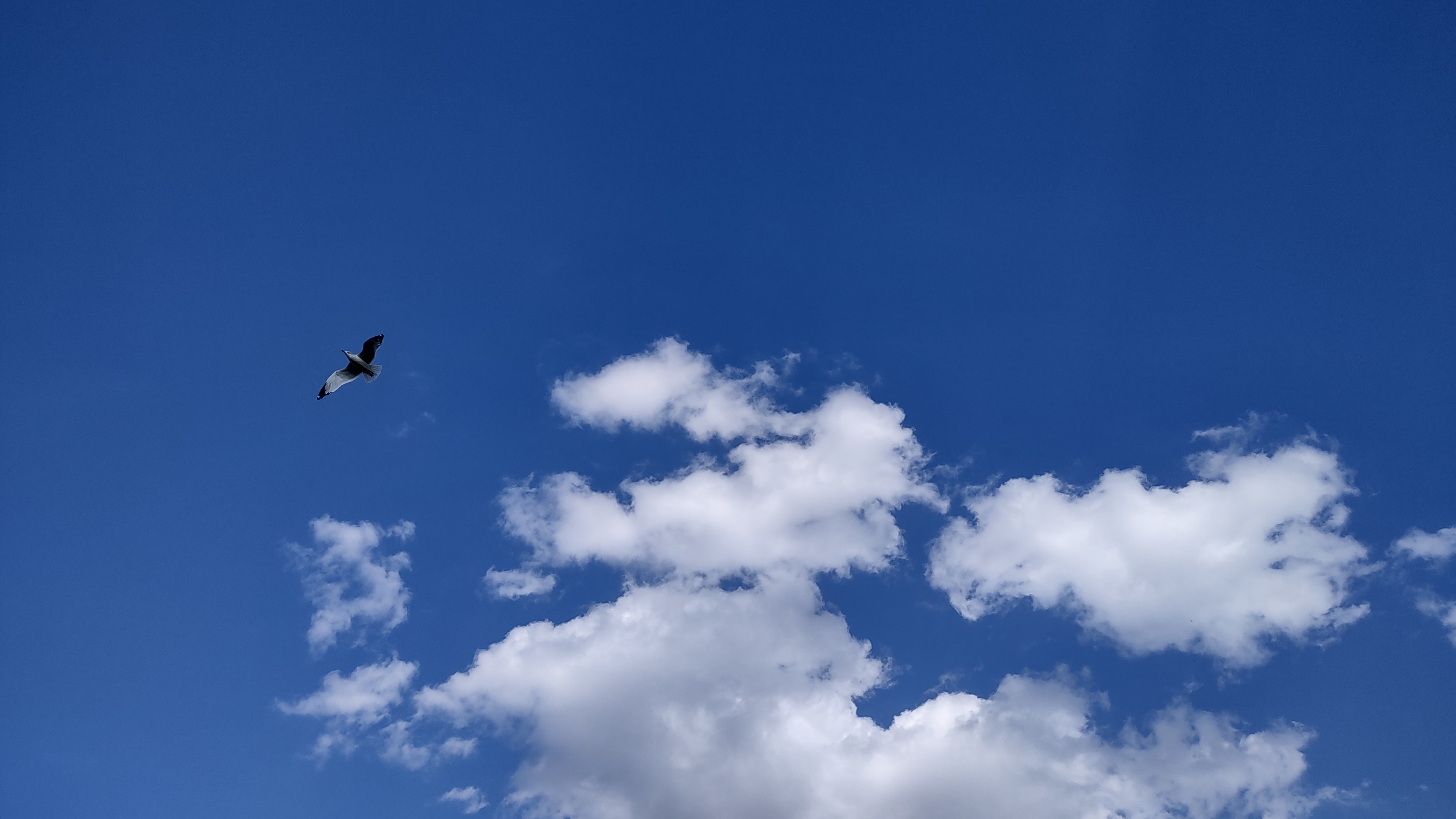 IMG_20241006_162952173_HDR