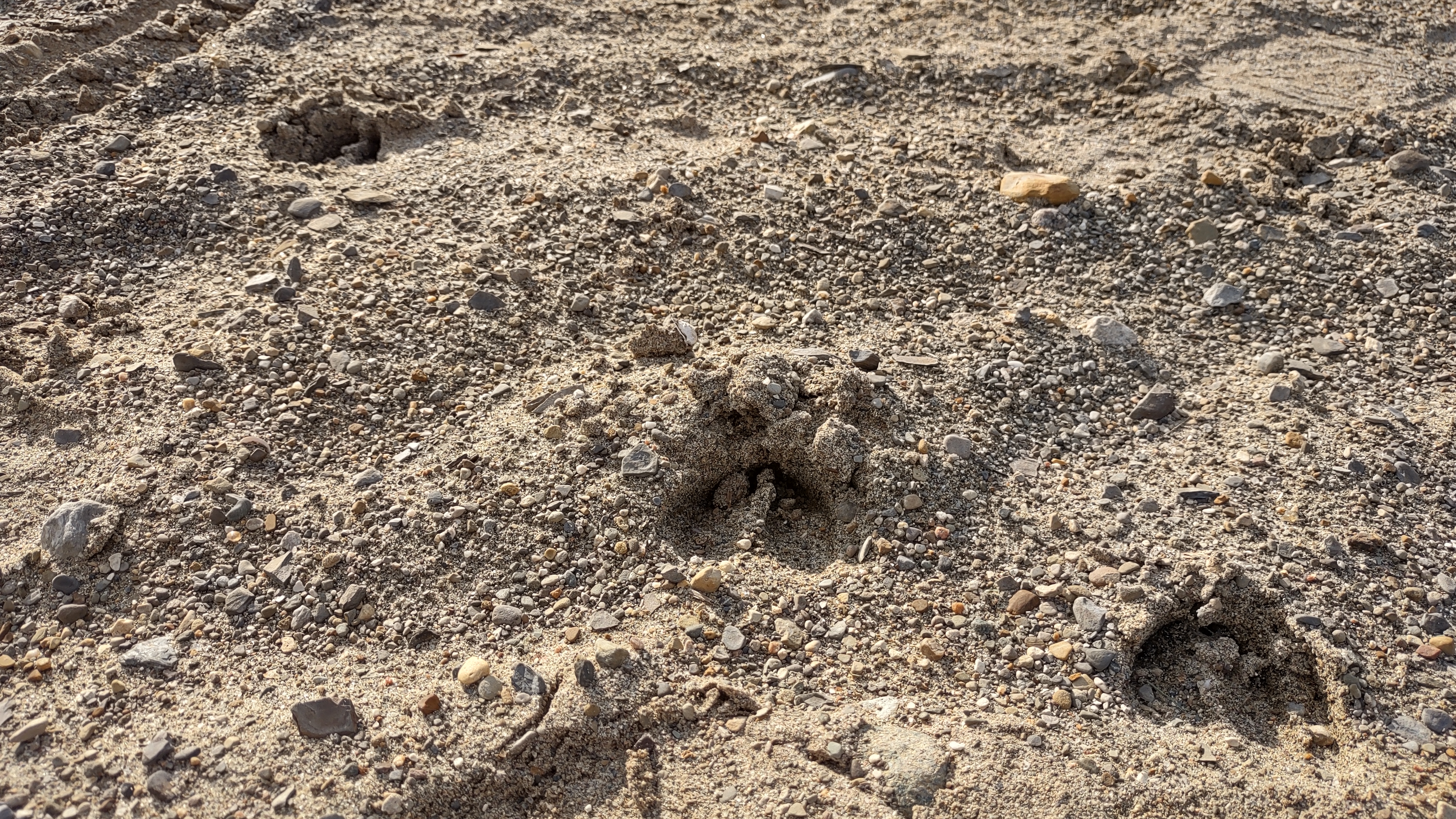 IMG_20241006_164335843_HDR