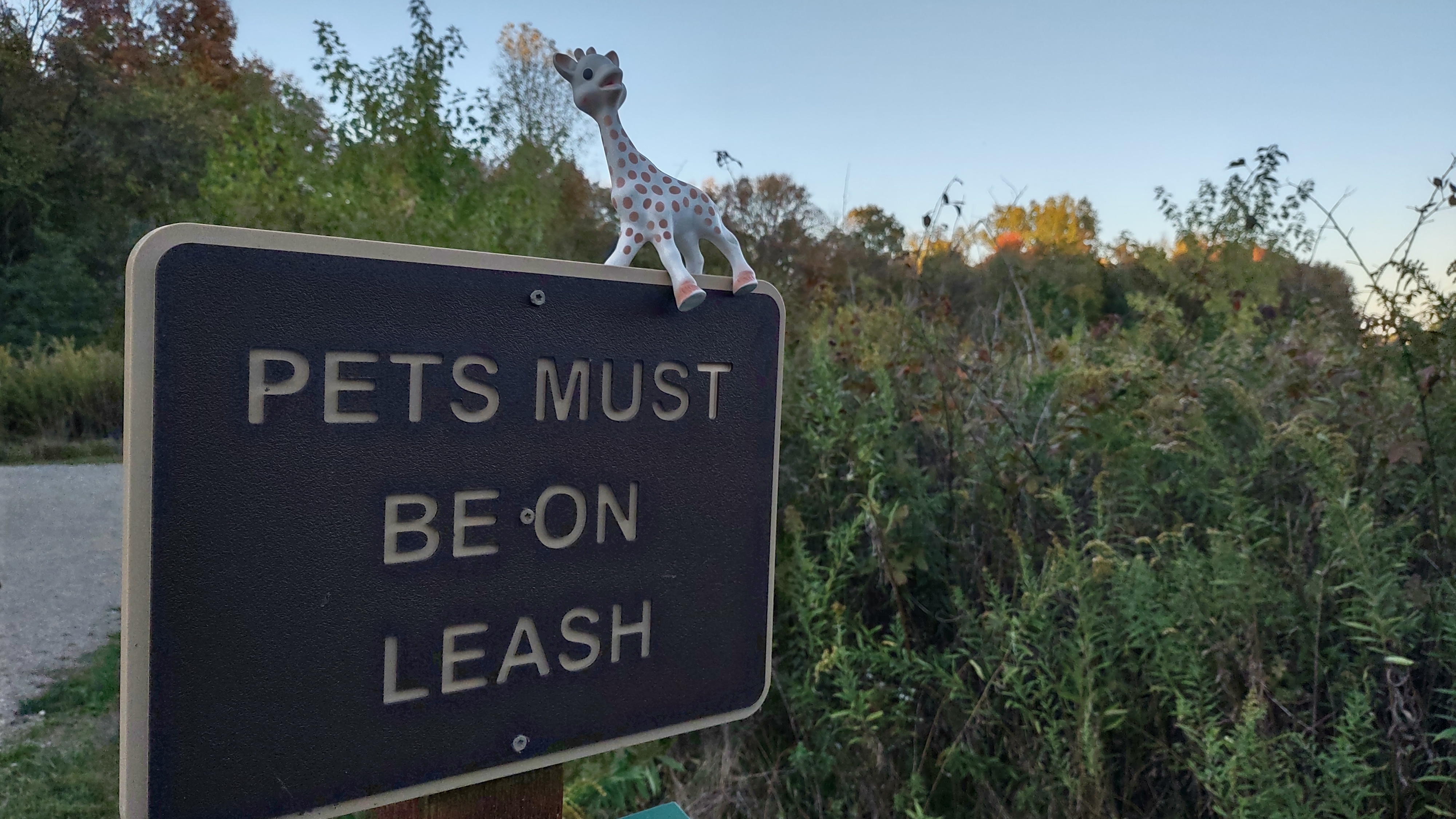 IMG_20241007_183844984_HDR