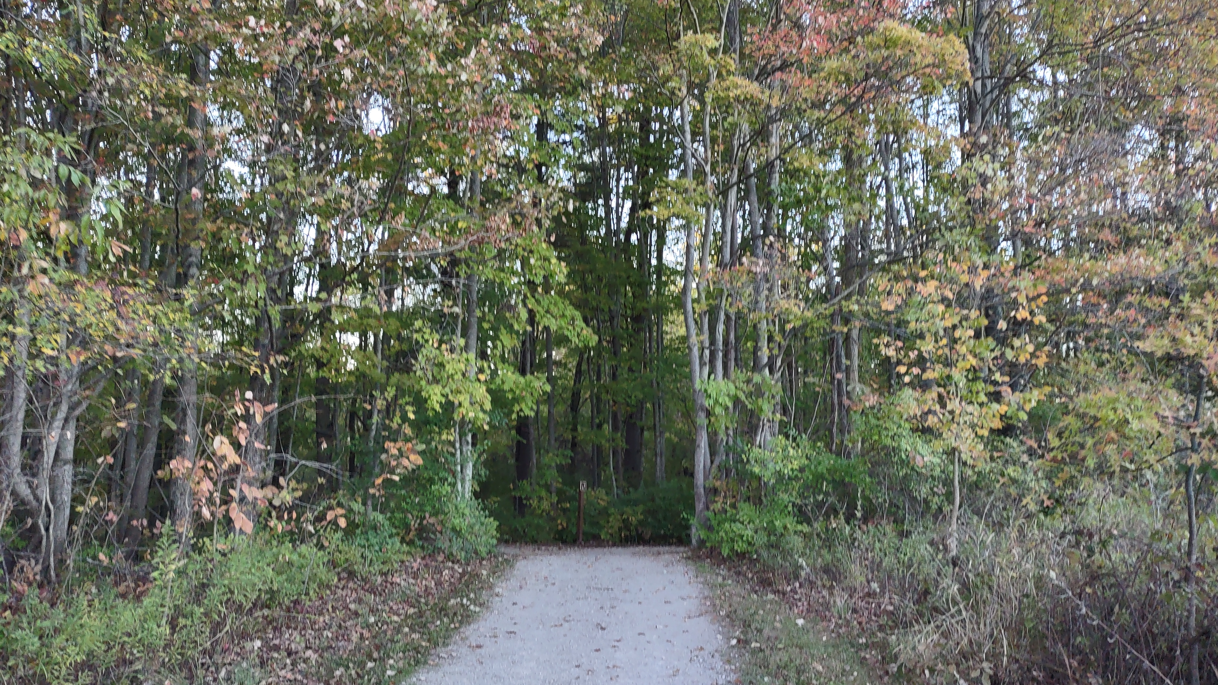 IMG_20241007_184254275