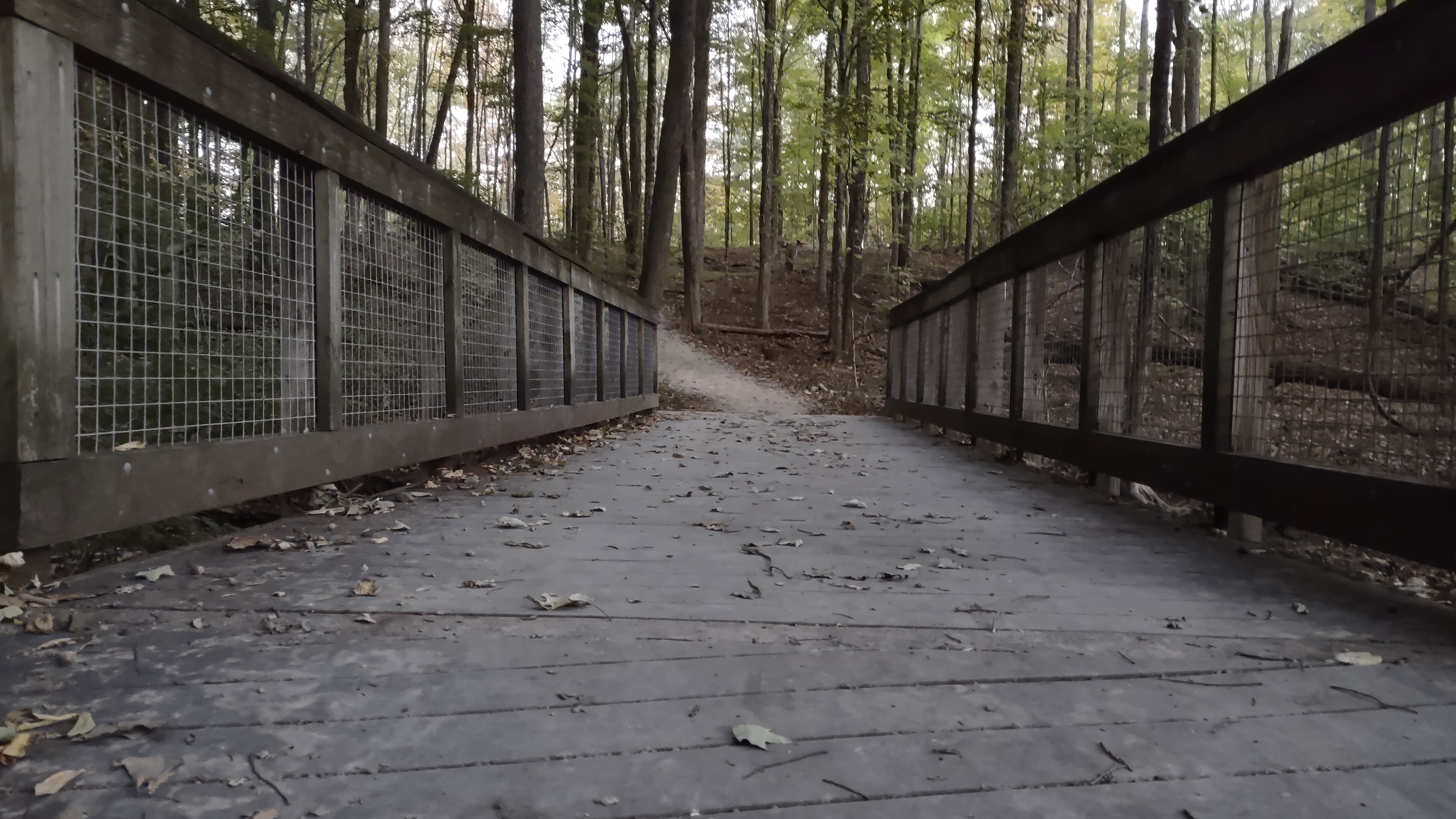 IMG_20241007_191059285