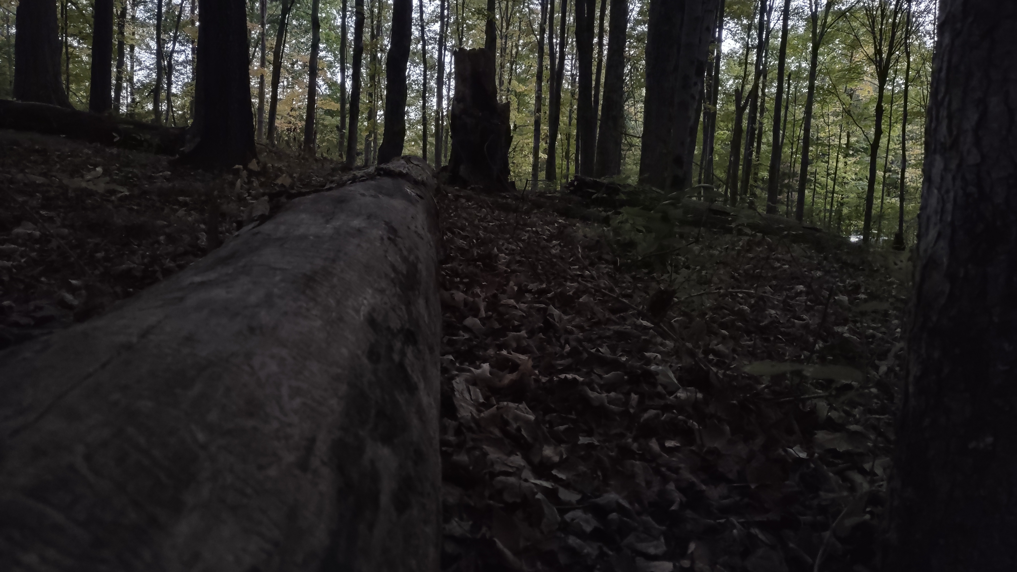 IMG_20241007_191350734_HDR