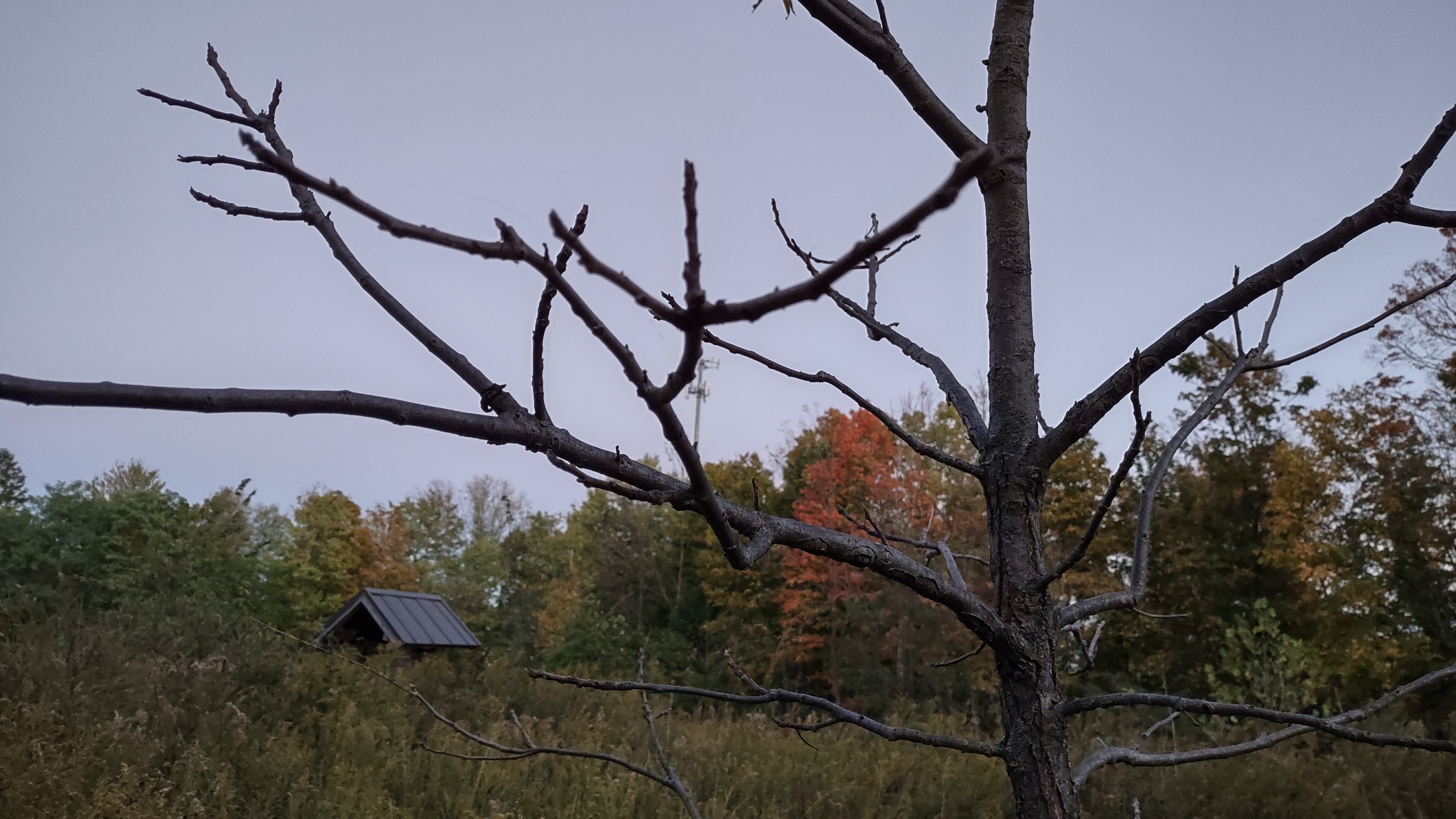 IMG_20241007_191727011_HDR