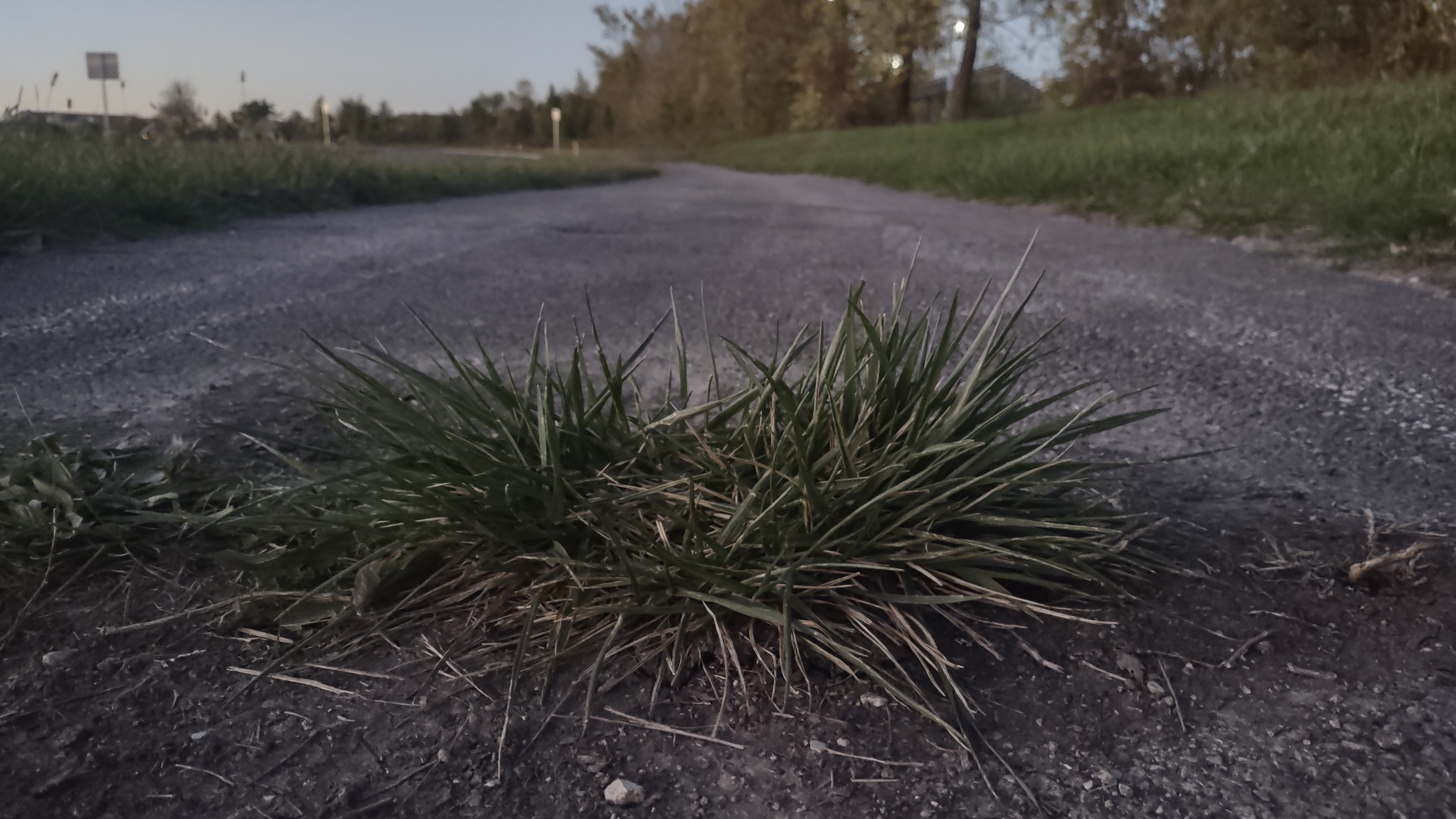 IMG_20241010_192348906_HDR