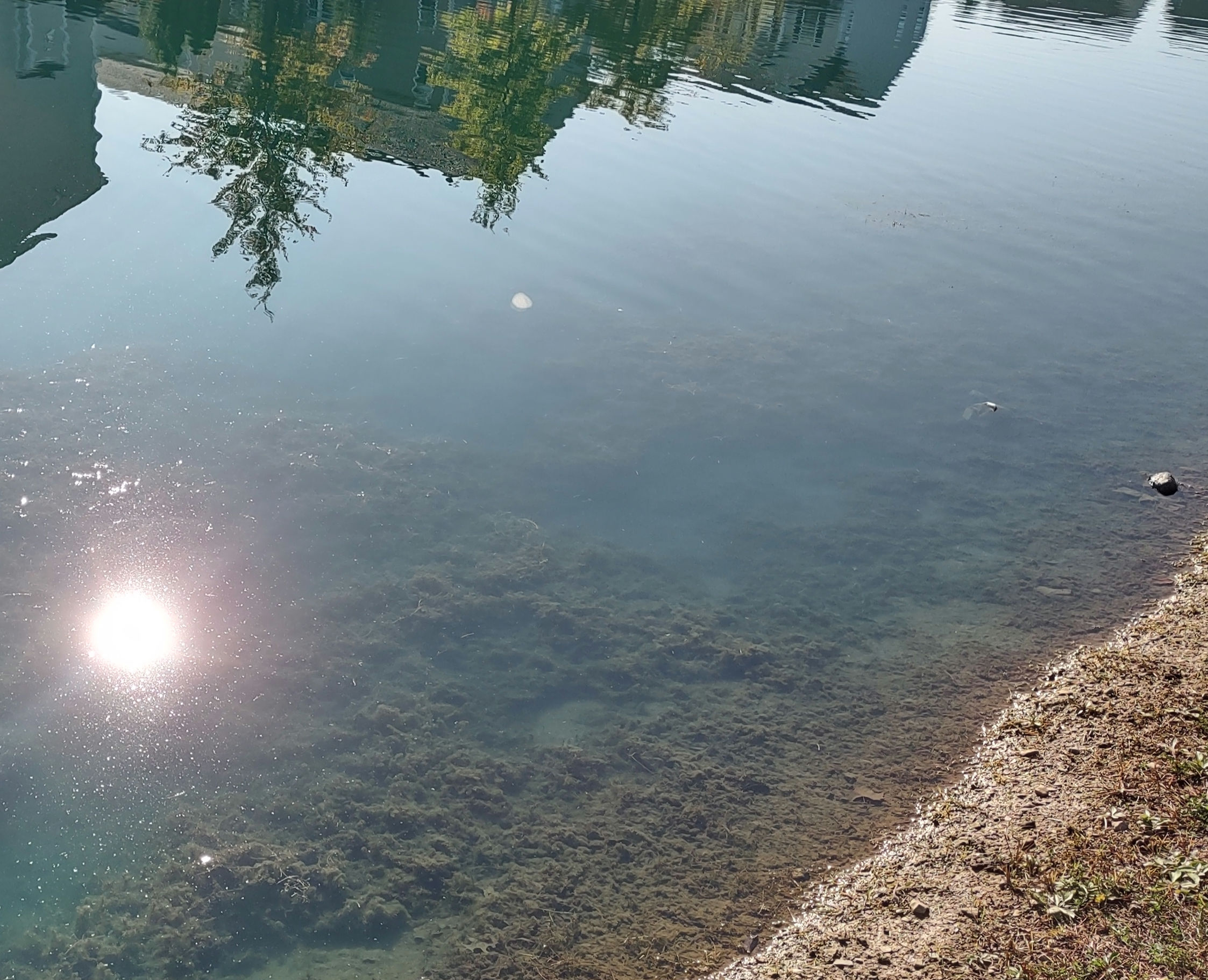 IMG_20241018_103622416_HDR_1