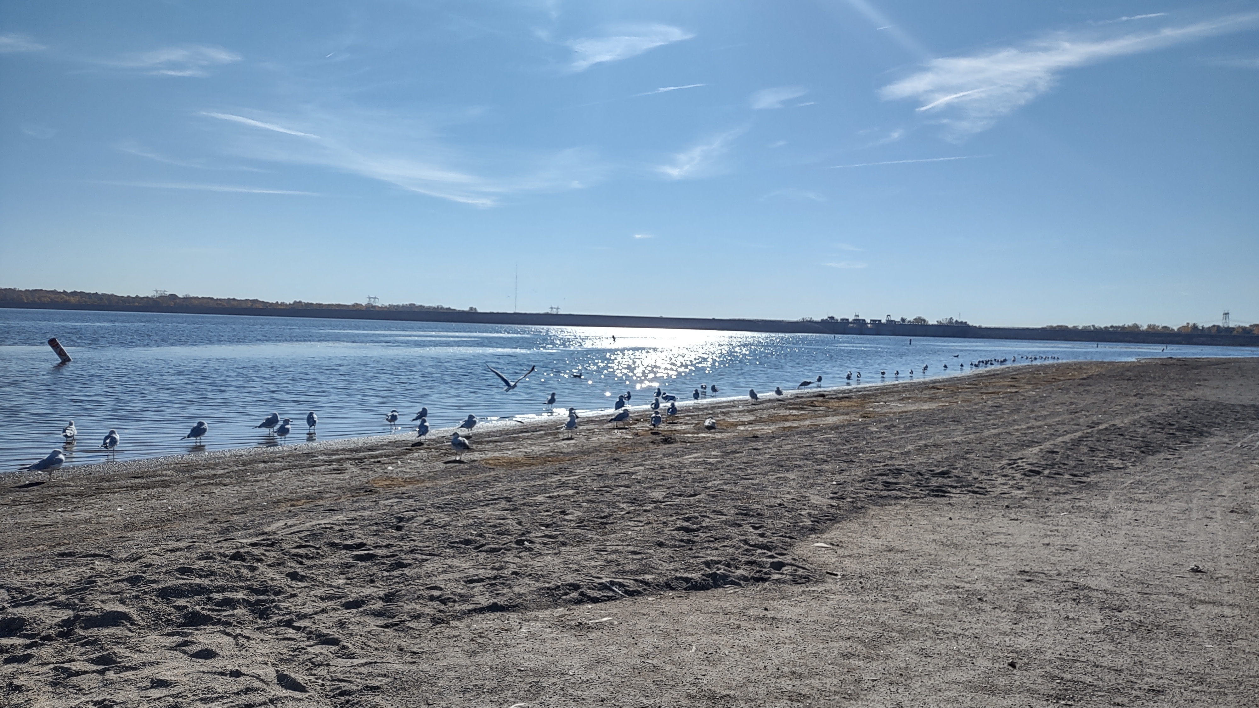 IMG_20241022_105116961_HDR