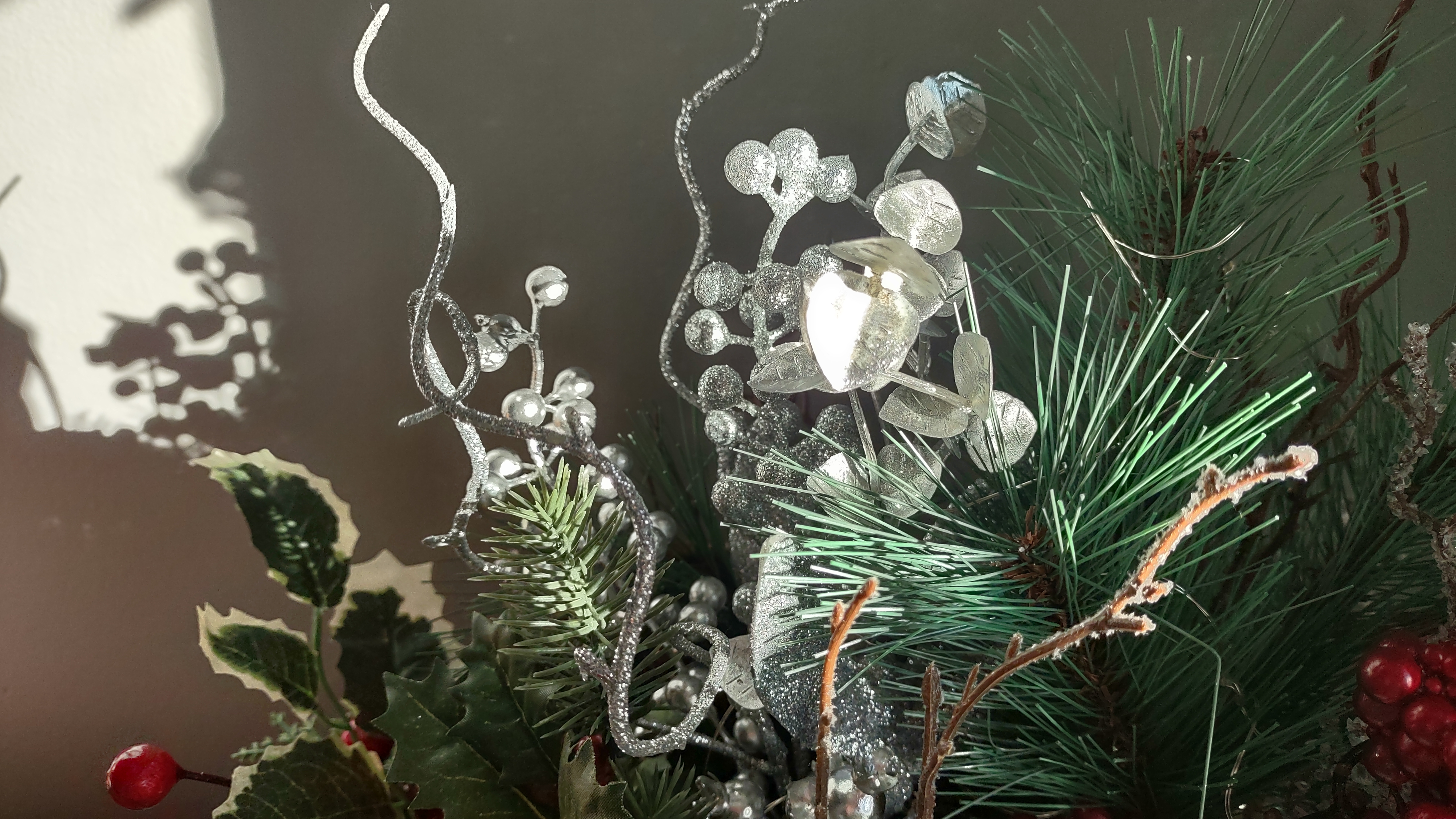 IMG_20241201_094438939_HDR