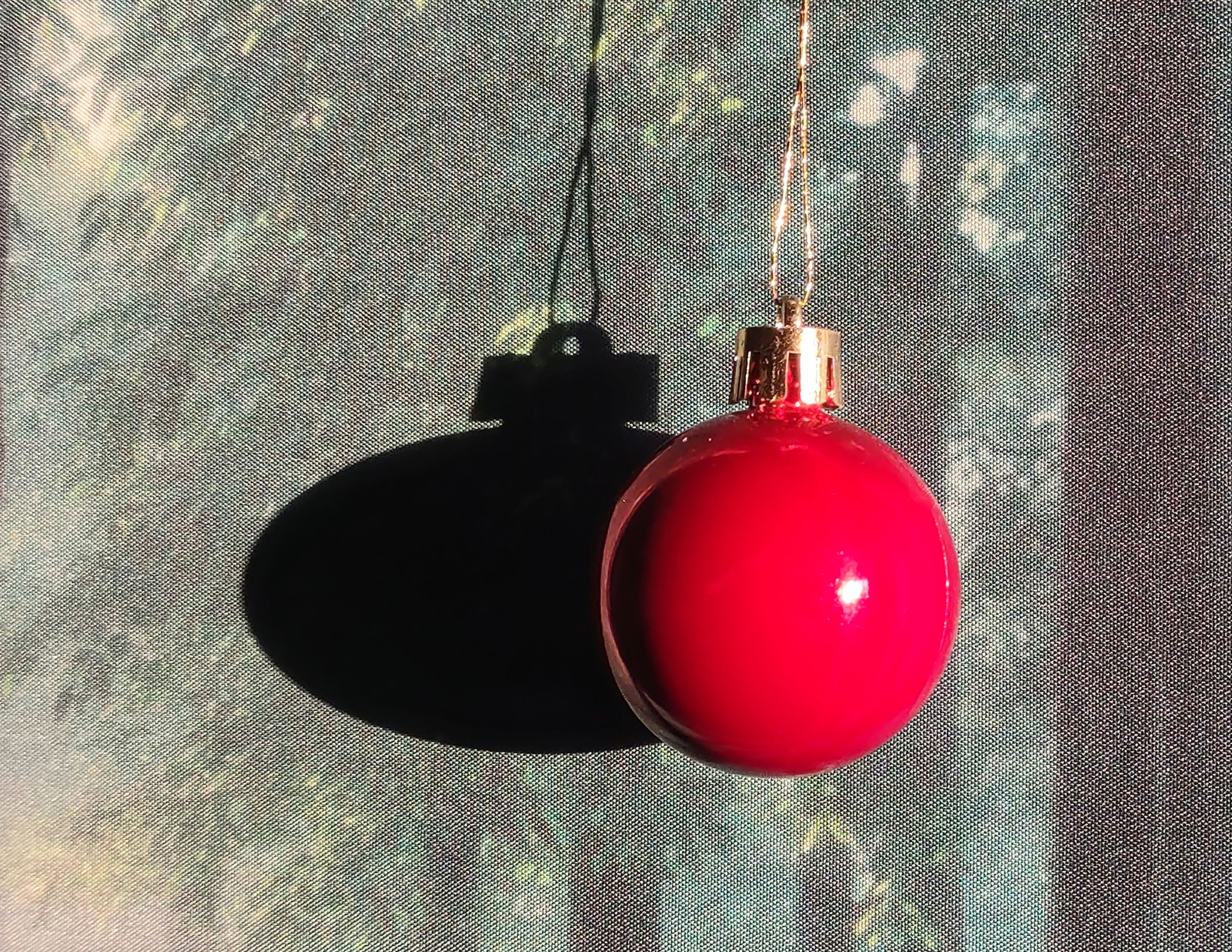 IMG_20241205_080454172_1